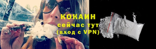 тгк Елизово