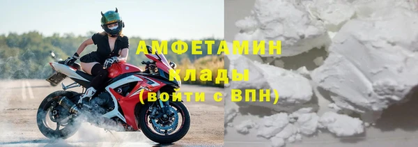 мдпв Ельня