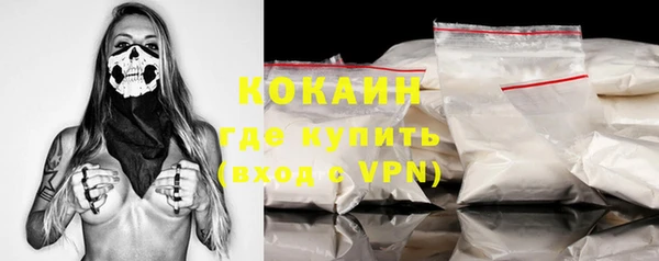тгк Елизово