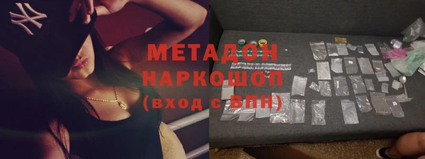 мдпв Ельня