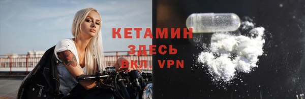 мдпв Ельня