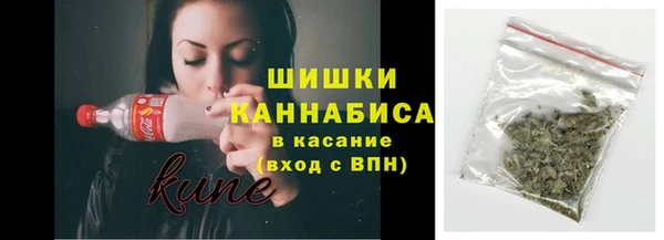 мдпв Ельня