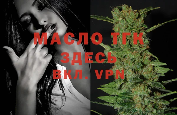 мдпв Ельня