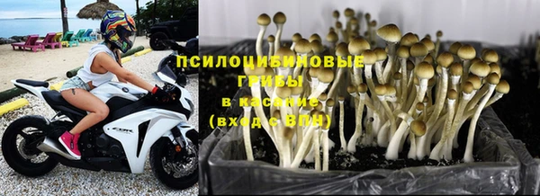 мдпв Ельня