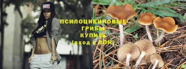 тгк Елизово