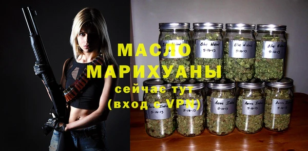 мдпв Ельня