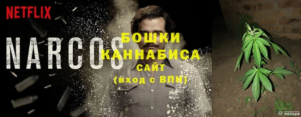 тгк Елизово