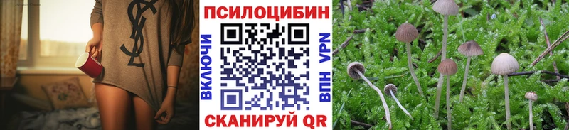 Псилоцибиновые грибы Psilocybine cubensis  Петров Вал 